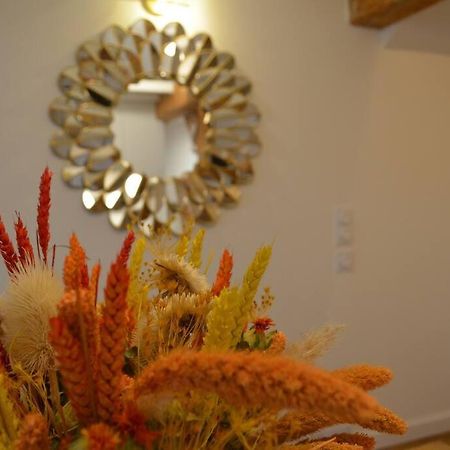 Charmant Appartement - Proche Chateau Cite 카르카손 외부 사진