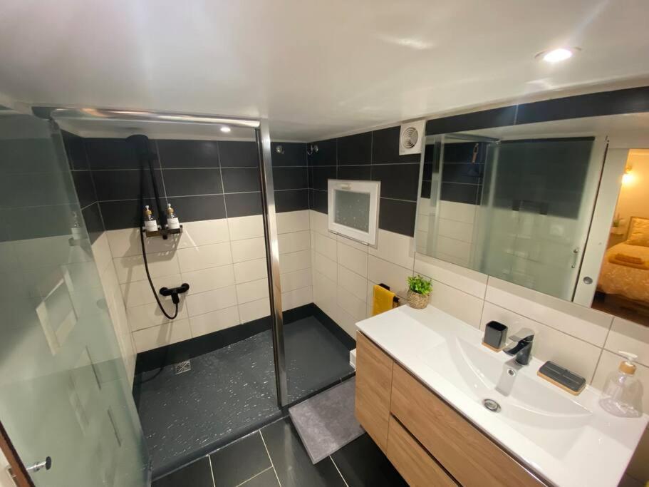 Charmant Appartement - Proche Chateau Cite 카르카손 외부 사진
