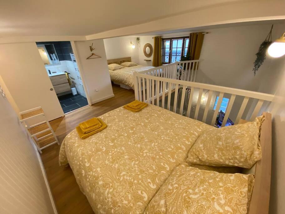 Charmant Appartement - Proche Chateau Cite 카르카손 외부 사진