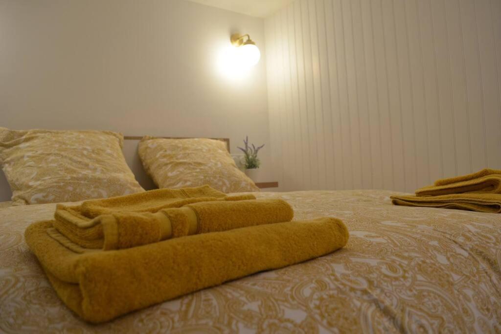 Charmant Appartement - Proche Chateau Cite 카르카손 외부 사진