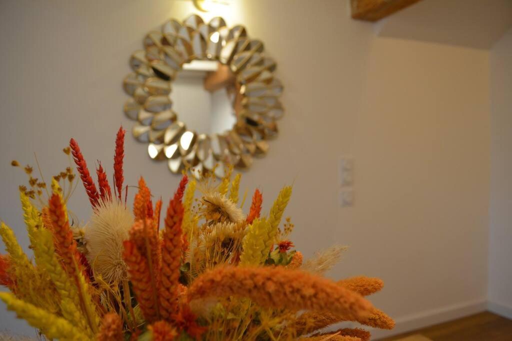 Charmant Appartement - Proche Chateau Cite 카르카손 외부 사진