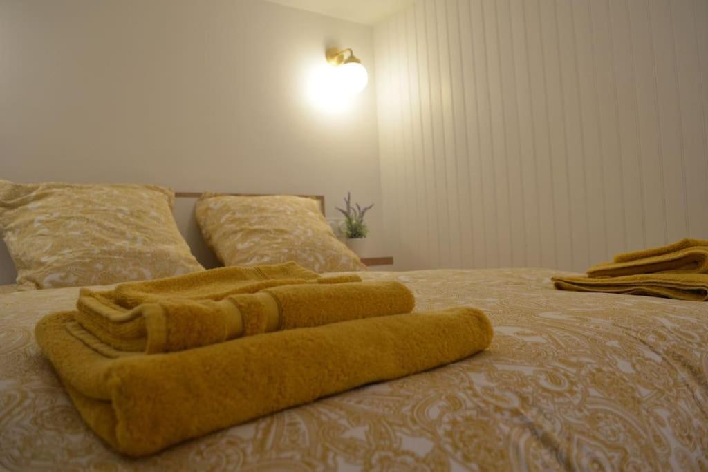 Charmant Appartement - Proche Chateau Cite 카르카손 외부 사진
